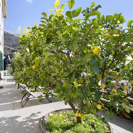 Appartement Gli Ulivi Bogliasco