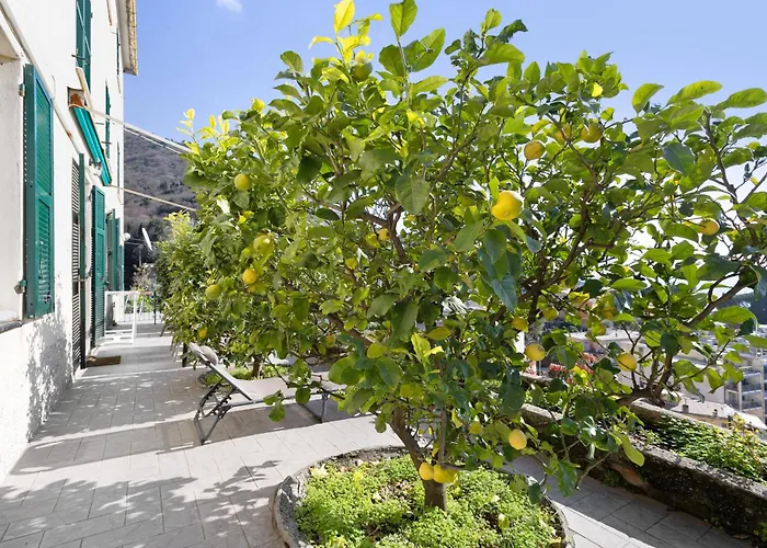 Appartement Gli Ulivi Bogliasco